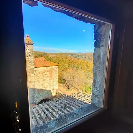Palazzo Bianciardi Attico *
