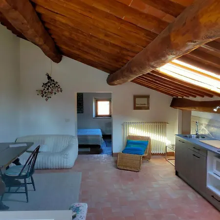 Apartment Palazzo Bianciardi Attico *