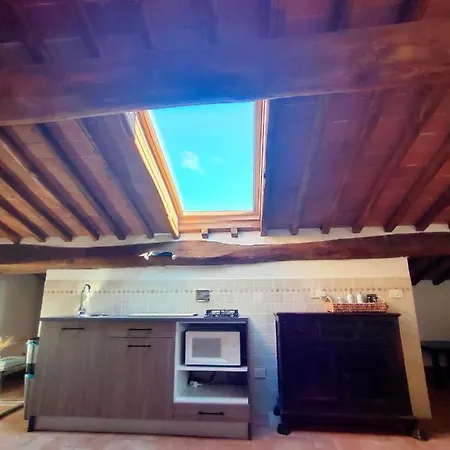 Apartment Palazzo Bianciardi Attico Castellina in Chianti